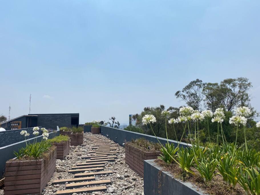 Апартаменты Nuevo Y Ubicado Departamento Zona Santafe Мехико Экстерьер фото